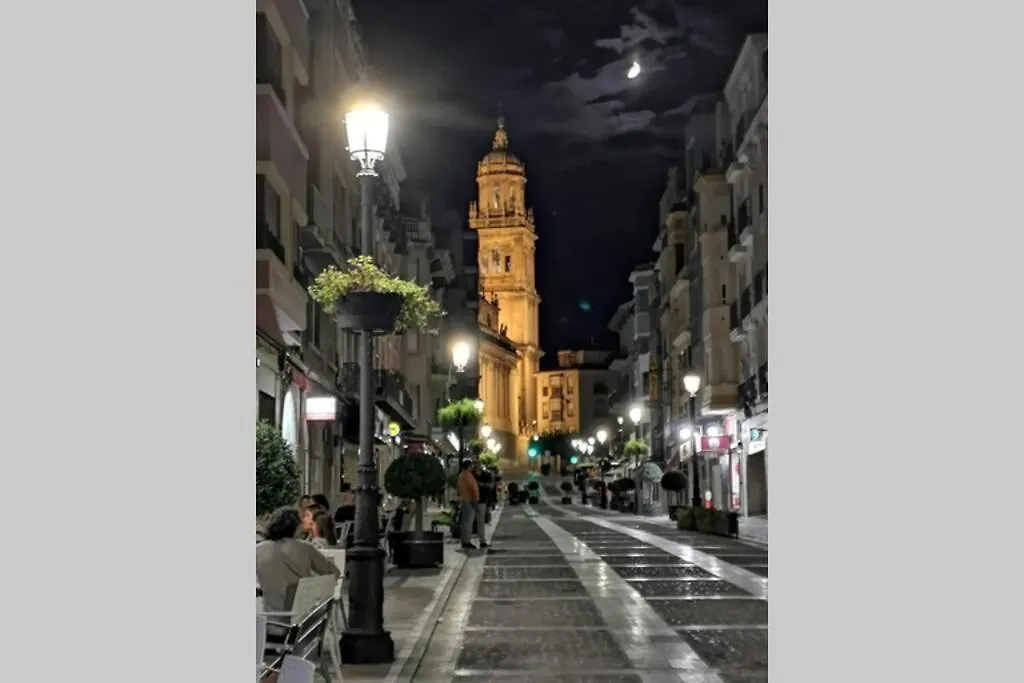 Atico Singular En El Centro Historico. Apartment Jaen