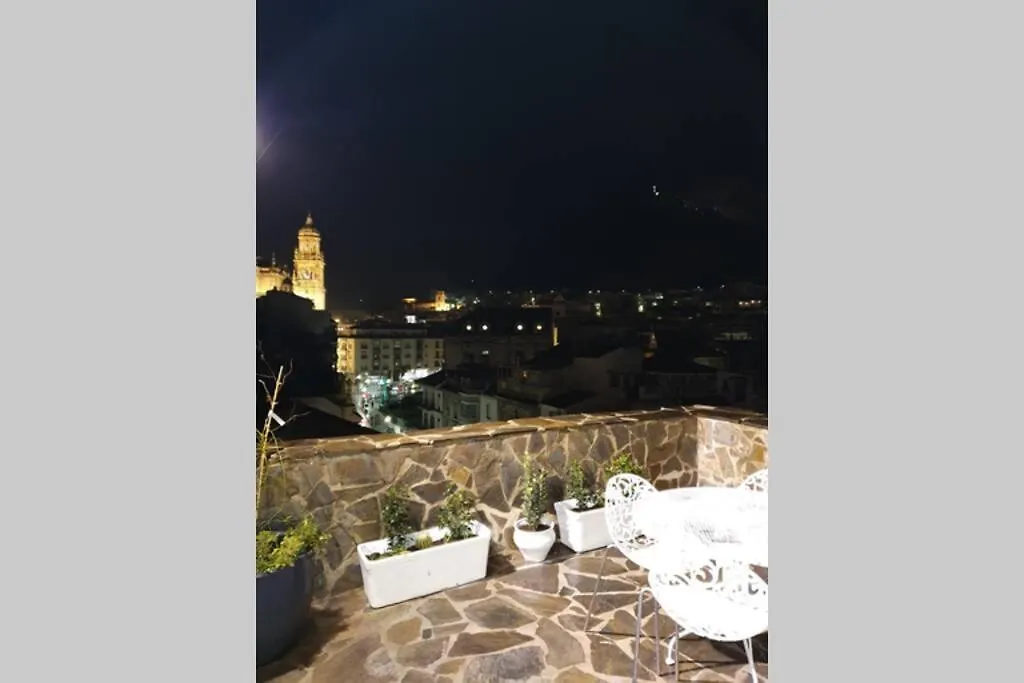 Atico Singular En El Centro Historico. Apartment Jaen